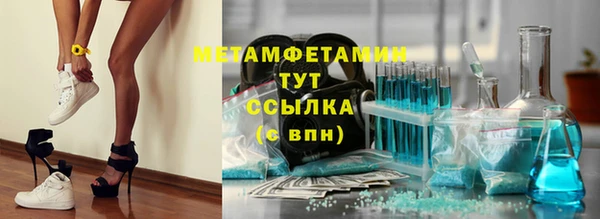 гидра Надым