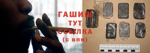 гидра Надым