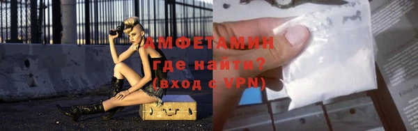 гидра Надым