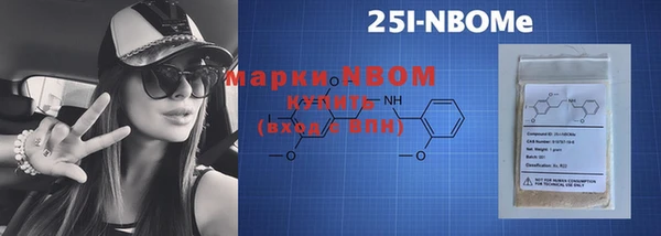 гидра Надым