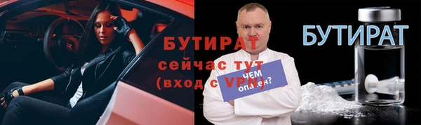 гидра Надым