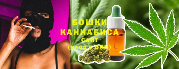 гидра Надым